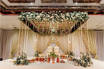 Image hover effect image