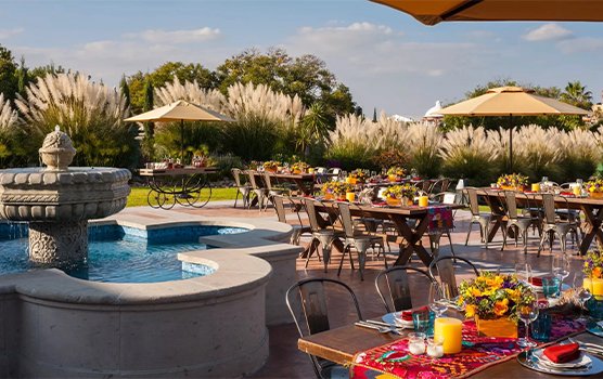 Image hover effect image